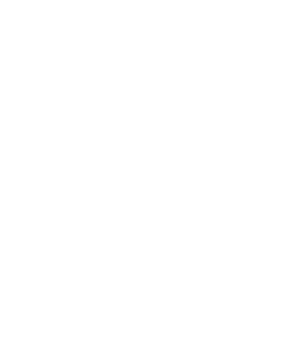 Zsidai Group logo